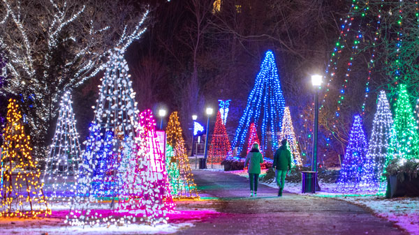 WINTER FESTIVAL OF LIGHTS - Hotels in Niagara Falls