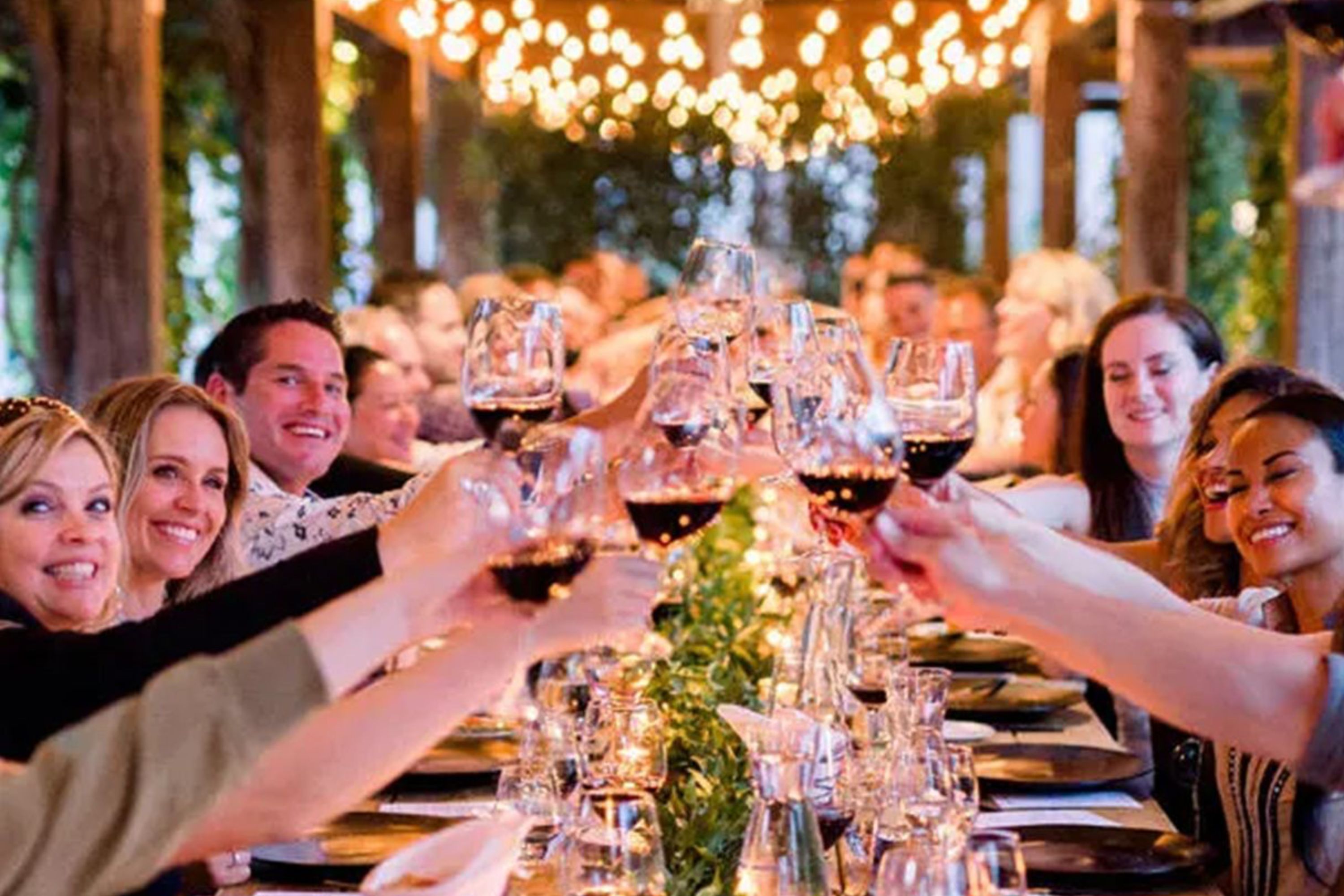 Party in the Vineyard - Hotels in Niagara Falls